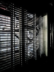 abstract lights background