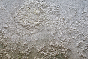 white concrete wall texture