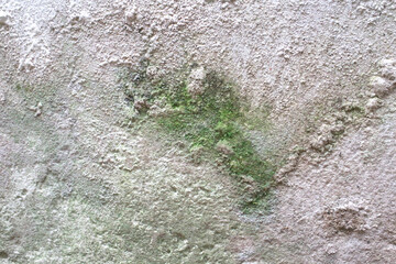 white concrete wall texture
