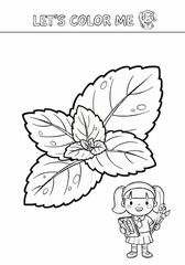 Fototapeta premium Drawing page of fresh and attractive mint leaves