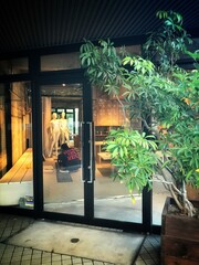 ショーウィンドー