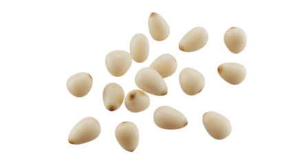 A handful of small, cream-colored pine nuts levitating in a gentle, scattered cloud. The delicate shape is captured in detail. Photorealistic  on a transparent background.