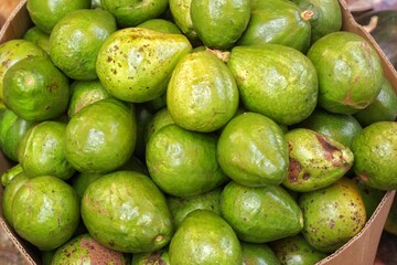 Tumpukan buah alvokad dalam sebuah dus siap untuk diolah menjadi juice atau panganan