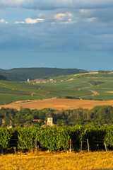 Scenic view of vineyards and villages in the Champagne region under cloudy sky