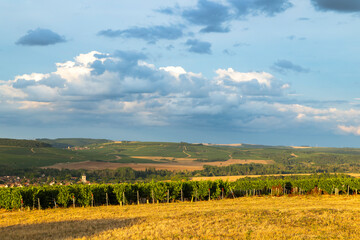 Vineyards covering the hills of Champagne region under cloudy sky