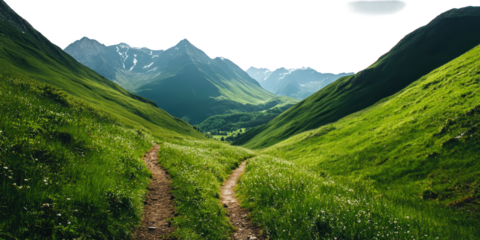 Two diverging paths lead into a beautiful green mountain valley under a bright sky isolated on transparent background