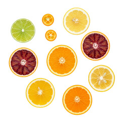 Fototapeta premium Assortment of fresh citrus fruit slices on a white background