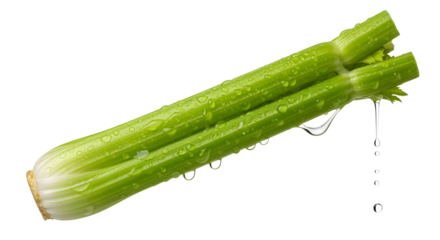 A crisp, green celery stalk, levitating, with fresh, clear water droplets clinging to it and falling off. The ribbed texture is in high detail. Photorealistic  on a transparent background.