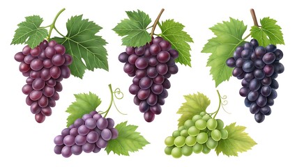 Assortment of Fresh Red and Green Grapes with Leaves on White Background fruit bunch
