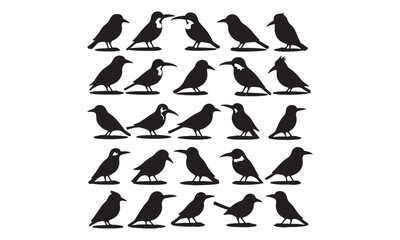 Silhouette of Various Bird Species Posing on Branches, Black and White