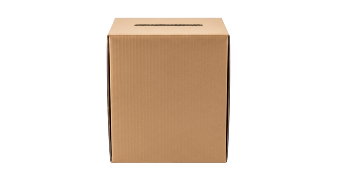 Cardboard Ballot Box Donation Box Isolated