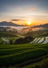 Naklejka premium Stunning Sunrise over Lush Rice Terraces.