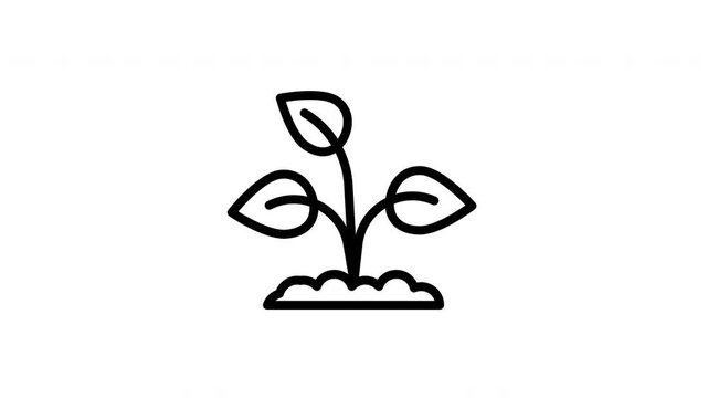tree bud animated icon