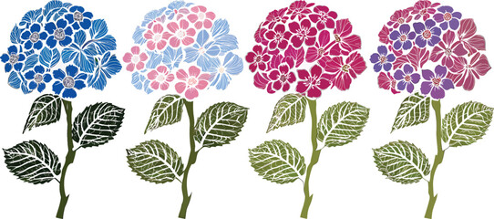 Colorful Hydrangea Flowers in a Flat Illustration