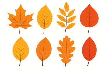 Colorful Autumn Leaves Vector Illustration Flat Icon Collection on White Background