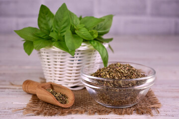 Fresh basil in a basket and dried basil on a white wooden background.
