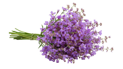 Fototapeta premium Exquisite bouquet of vibrant lavender flowers, a symphony of color and texture, presented on a