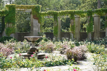 Der Rosengarten im Großen Tiergarten in Berlin im Sommer
