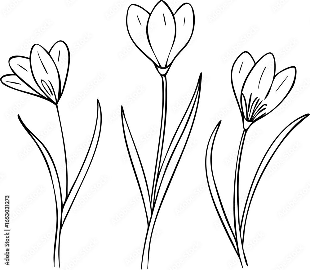 Poster minimalist continuous line drawing of three stylized figures