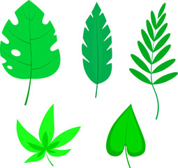 Tropical Leaves Vector Set