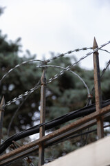 barbed wire fence
