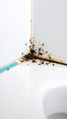 Bathroom corner mold