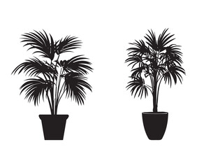 Vector design of a potted palm plant silhouette.