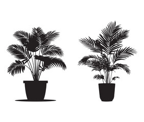 Vector design of a potted palm plant silhouette.
