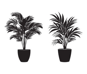 Vector design of a potted palm plant silhouette.