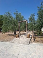 Eco farm in Apulia, Italy, 17 of August, 2025.