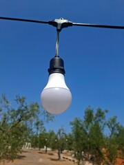 Eco farm in Apulia, Italy, 17 of August, 2025.