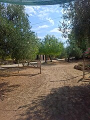 Eco farm in Apulia, Italy, 17 of August, 2025.