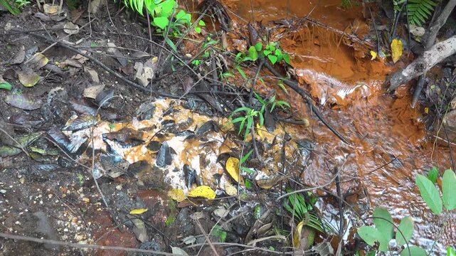 A mineral stream on the slope of the volcano with an abundance of iron oxide (iron deposits). The plants are covered with colored salt. Sulawesi Island. Indonesia