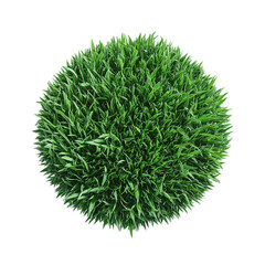 Round grass sphere isolated on a transparent background, perfect for eco-friendly designs, evokes a sense of nature and sustainability