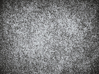 Fototapeta premium Black and White Digital Noise Texture, TV Static Background