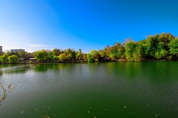 Serene lake view with lush greenery and clear sky.