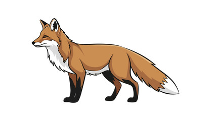 Obraz premium Cartoon fox profile illustration