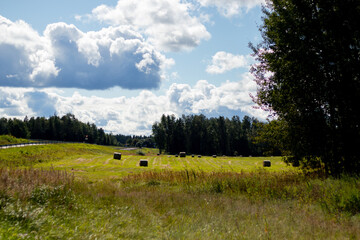 Round hay bales lie across a bright green field under a dramatic sky, surrounded by trees and late...