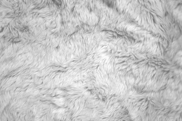 fur texture background. fabric background.