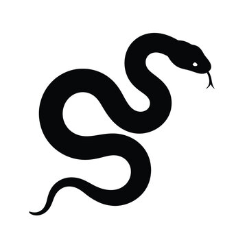 Black Snake Silhouette with Tongue Out on White Background