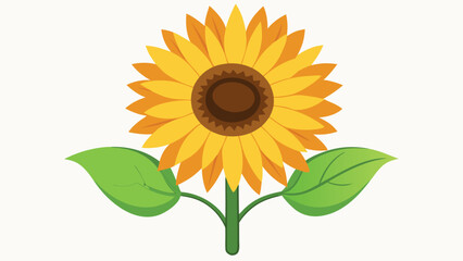 Vector art of a bright yellow sunflower with green leaves and a brown center isolated on white background for decoration