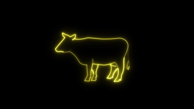 Yellow color neon sign of cow icon animation. Icon of a cow with a glowing neon effect. Cow icon concept animation on black background.
