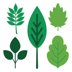 A natural vector set of diverse green leaves, branches, and floral elements, perfect for eco-friendly design and illustrations