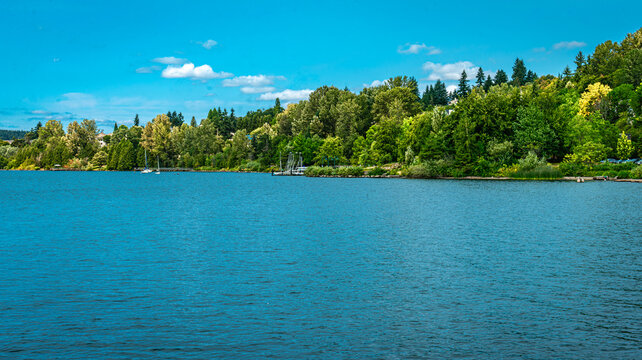 Shoreline At Coulon Park