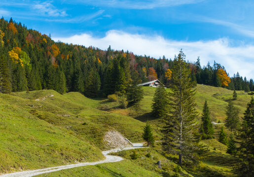Wanderweg Wanderpfad zur Rotwand Pfanngraben Herbst