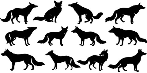 Black Midnight Cityscape August 17 2025 Icon Design