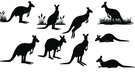 Collection of Diverse Kangaroo Silhouettes Showcasing Various Poses and Actions Against a Clean White Background for Graphic Design Projects
