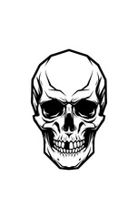 Skull illustration graphic design