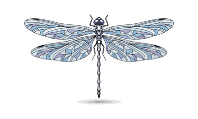 Stained glass dragonfly illustration