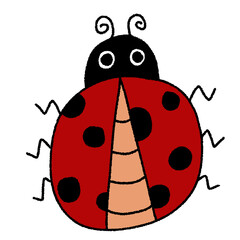 Obraz premium Ladybug